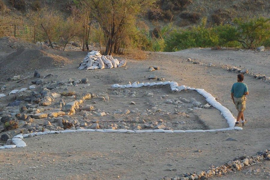 Zooarchaeology Lab Department of Anthropology